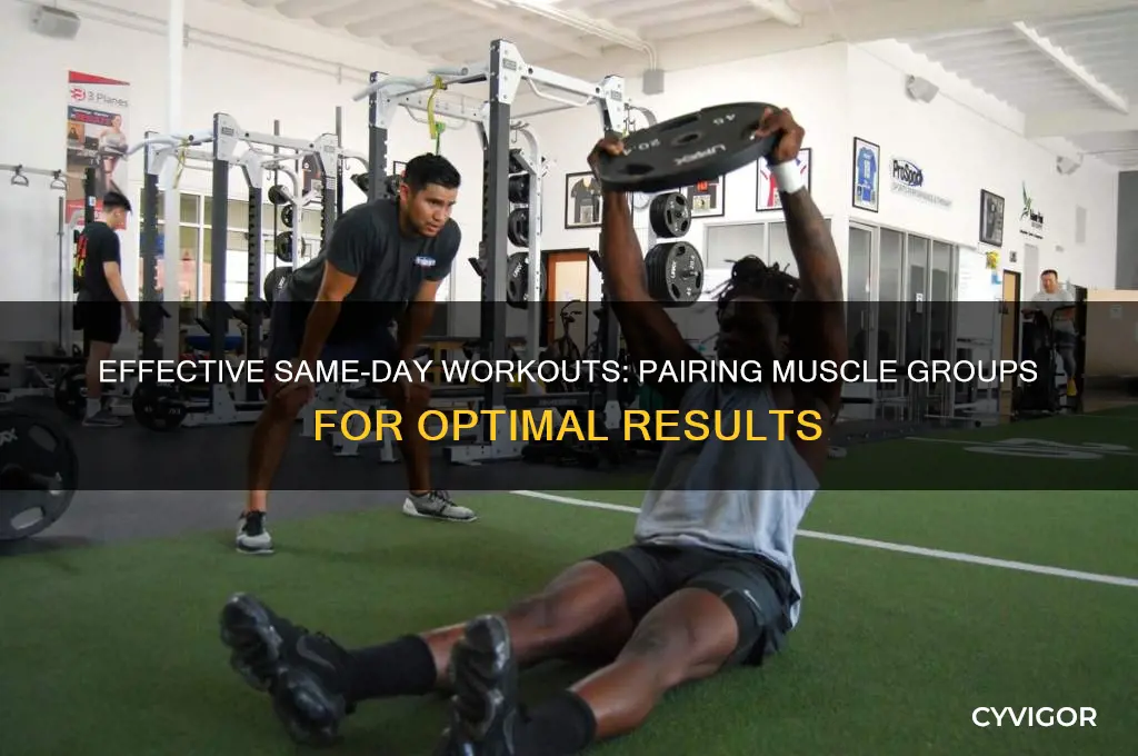 what muscle groups to do same day