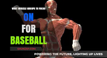 Essential Muscle Groups to Target for Baseball Performance and Power
