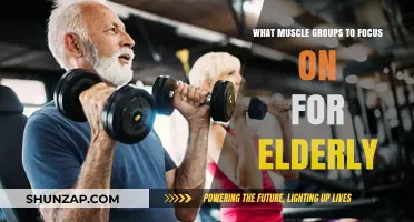 Strengthening Aging Bodies: Key Muscle Groups for Elderly Fitness Focus