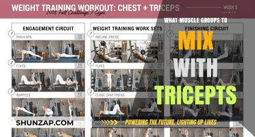 Effective Muscle Pairings: Maximize Your Workout with Triceps Combinations