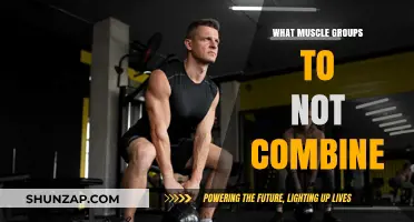 Avoid These Muscle Group Combinations for Optimal Workout Efficiency