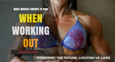 Effective Workout Pairings: Optimize Muscle Groups for Maximum Results