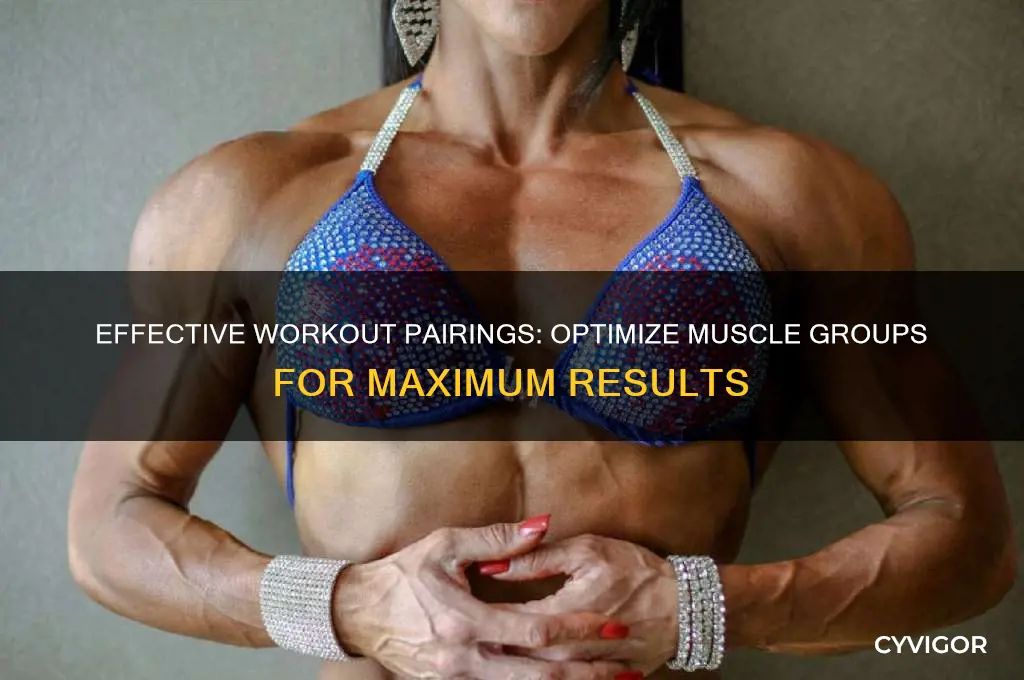 what muscle groups to pair when working out