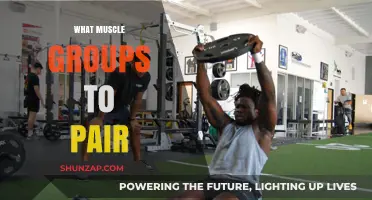 Effective Muscle Pairing Strategies for Optimal Strength and Growth