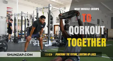 Effective Muscle Pairing: Optimize Your Workouts with Smart Group Combinations