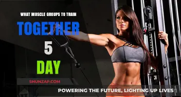 Effective 5-Day Muscle Group Pairing for Optimal Workout Results
