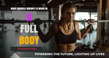 Full Body Workout: Targeting Essential Muscle Groups for Optimal Results