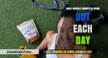 Effective Daily Workout Plan: Targeting Muscle Groups for Optimal Results