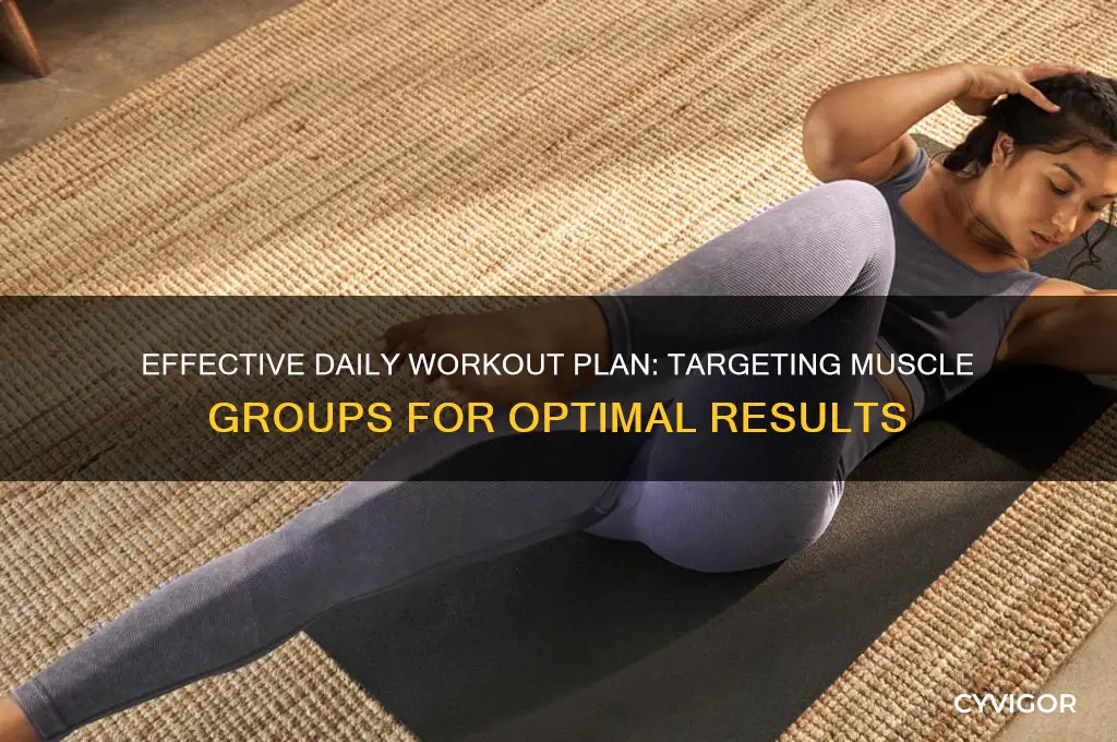 what muscle groups to work out each day
