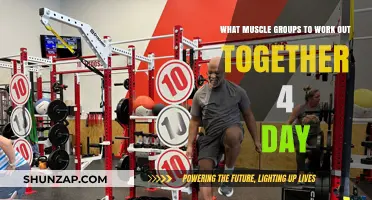 Effective 4-Day Workout Plan: Pairing Muscle Groups for Optimal Results