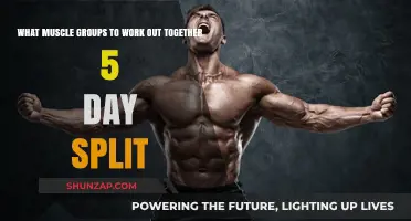 Effective 5-Day Workout Split: Pairing Muscle Groups for Optimal Gains