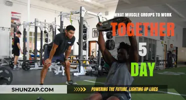 Effective 5-Day Workout Plan: Synergistic Muscle Group Pairings