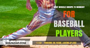 Essential Muscle Groups for Baseball Players to Enhance Performance