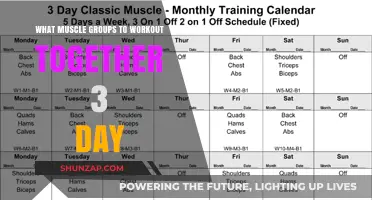 Effective 3-Day Workout Plan: Pairing Muscle Groups for Optimal Results