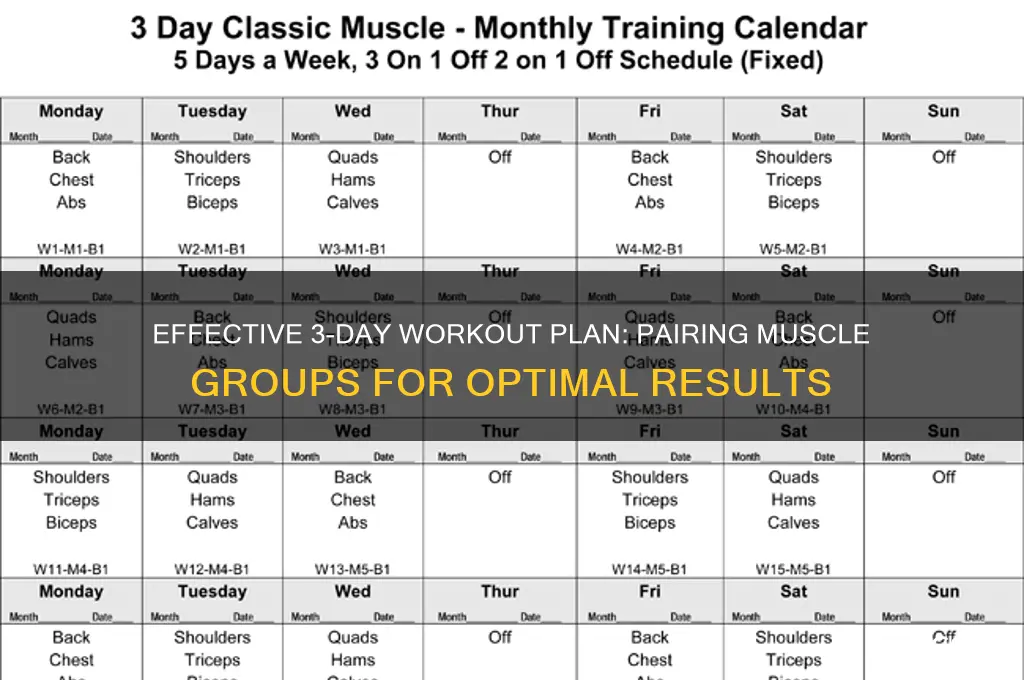what muscle groups to workout together 3 day