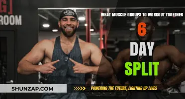 Effective 6-Day Workout Split: Pairing Muscle Groups for Optimal Gains