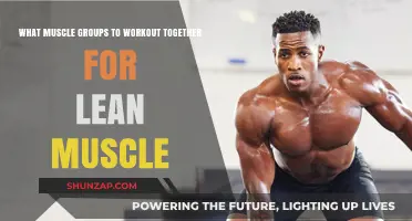 Effective Muscle Pairing Strategies for Building Lean, Defined Physique