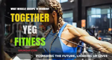 Effective Muscle Group Pairings for Optimal Workouts in Edmonton Fitness