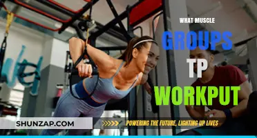 Effective Muscle Group Workouts: Targeting Strength and Balance for Optimal Results