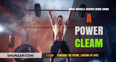 Power Clean Muscles: Targeted Groups for Strength and Explosiveness