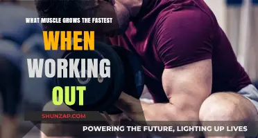 Unlocking Rapid Muscle Growth: Which Muscles Respond Fastest to Workouts?