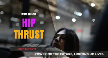 Hip Thrust: Which Muscles Does This Exercise Target?