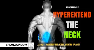 Neck Hyperextension: Which Muscles Are Involved?
