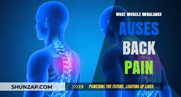 Muscle Imbalances and Back Pain: Causes, Prevention, and Relief Strategies