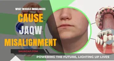 Muscle Imbalances Leading to Jaw Misalignment: Causes and Solutions