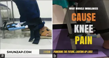 Muscle Imbalances Leading to Knee Pain: Causes and Solutions