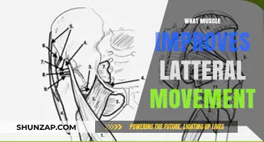 Lateral Movement: Which Muscles Are Key?