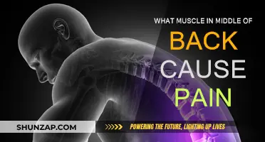 Unlocking the Mystery of Middle Back Pain