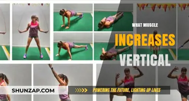 Explosive Leg Power: Jump Higher with This Muscle