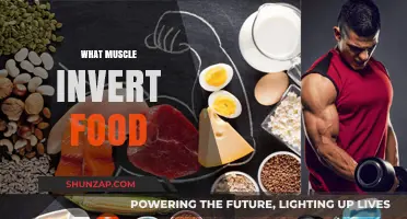 How to Eat to Build Muscle Strength