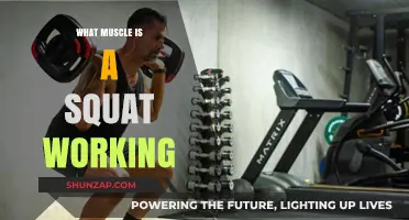 Squat Muscles: Unlocking the Power of Your Lower Body