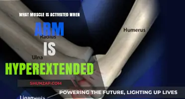Hyperextended Arm Muscles: Understanding Activation and Potential Risks