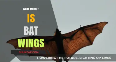 Get Rid of Bat Wings: Target These Muscles