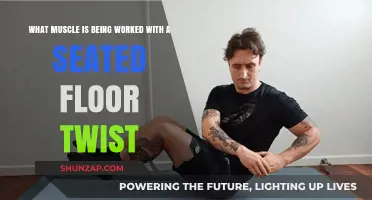 Seated Floor Twist: Targeting Core Muscles for Strength and Flexibility