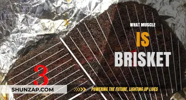 The Brisket Muscle: Understanding its Composition and Culinary Uses