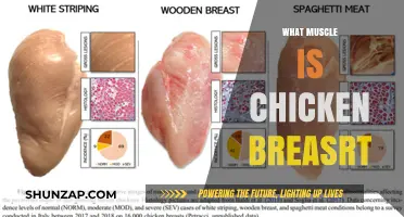 Chicken Breasts: A Protein-Rich Source of Lean Muscle