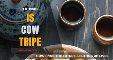 Tripe: Understanding the Muscles of a Cow's Stomach