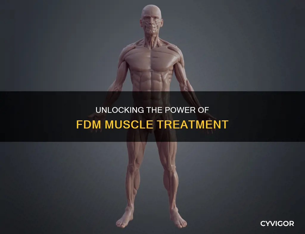 what muscle is fdm