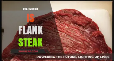 Flank Steak: Understanding the Muscle Behind the Flavor