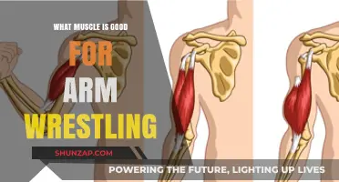 Unlocking Strength: The Key Muscle for Dominating Arm Wrestling Matches