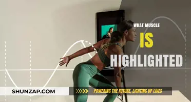 Highlighting Muscles: The Art of Bodybuilding Poses