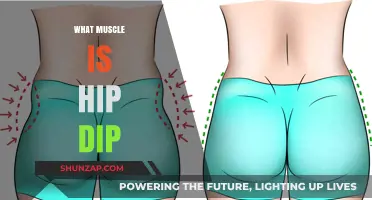 The Truth About Hip Dips and Glute Muscles