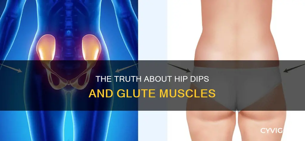 what muscle is hip dip