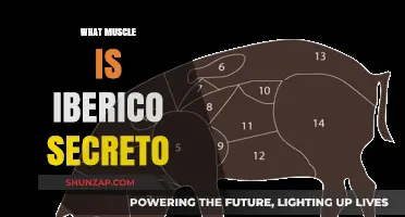 The Secret of Iberico Secreto: A Muscle Mystery