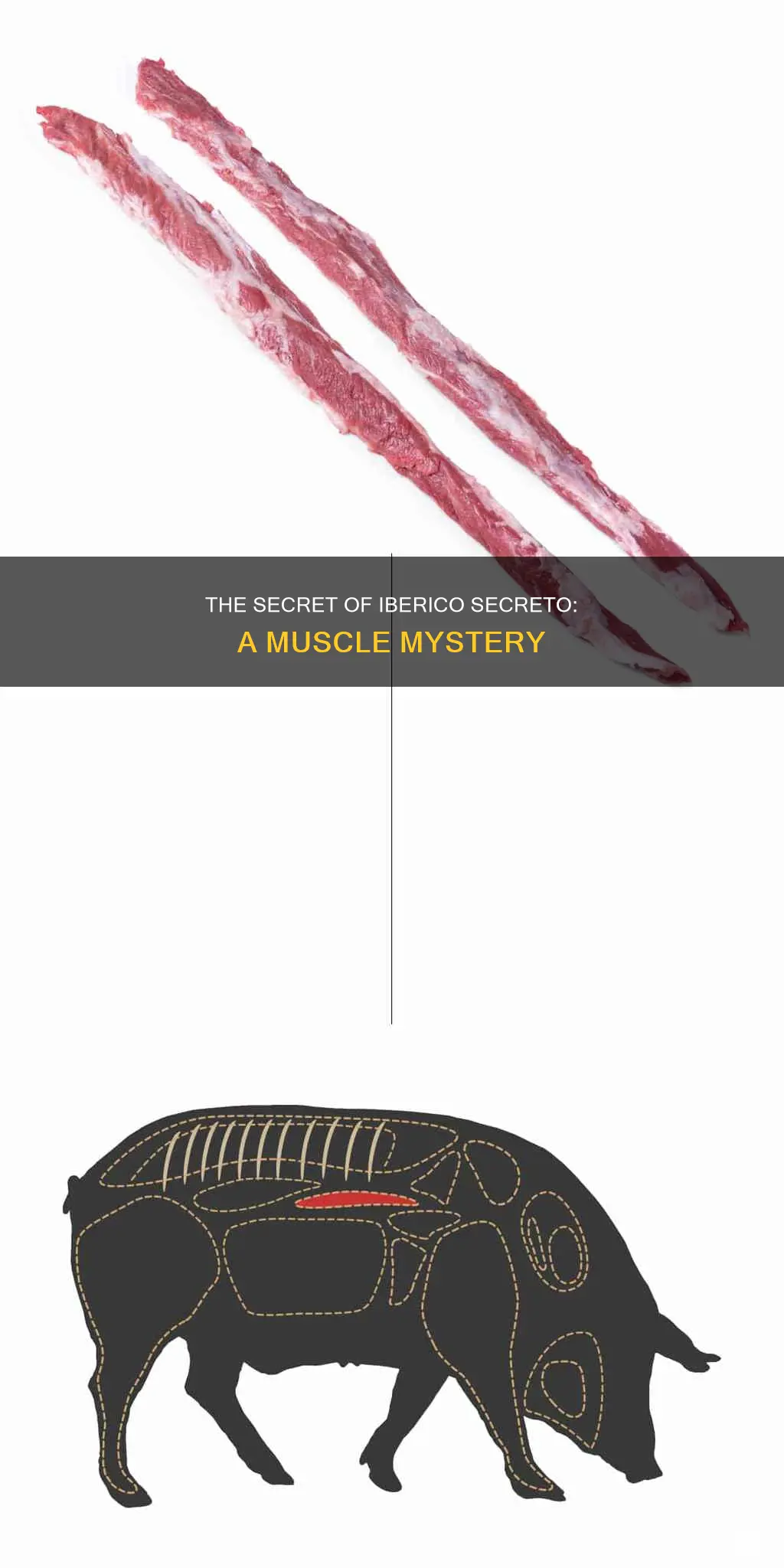 what muscle is iberico secreto