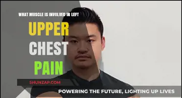 Left Upper Chest Pain: Key Muscles Involved and Causes Explained